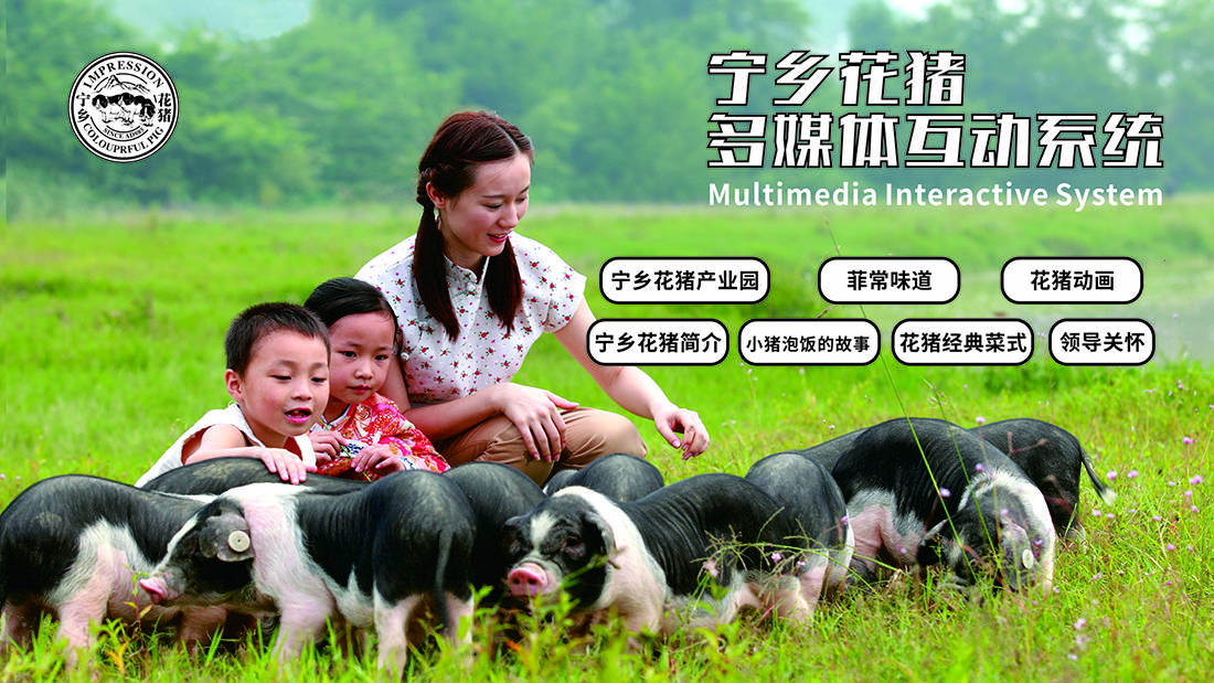麥格建站案例-寧鄉花豬首頁